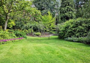 Optimiser l'expérience du jardin à Senneville-sur-Fécamp